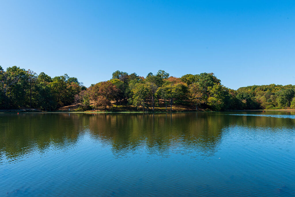 The trees are turning colors in Lake Fairfax park with the beginning of Autumn.